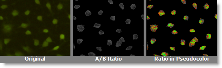 Fura A/B Ratio Example